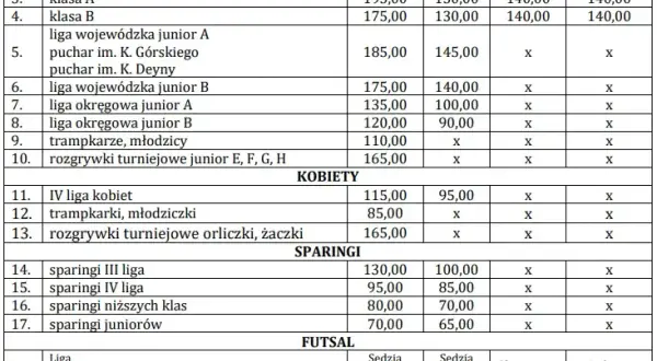 Sędzia piłkarski zarobki w Polsce: jakie stawki obowiązują w ligach?
